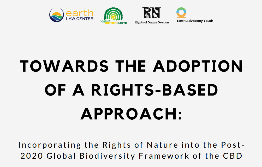 Convention on Biodiversity Advances the Rights of Nature in Proposed Post-2020 Global Biodiversity Framework